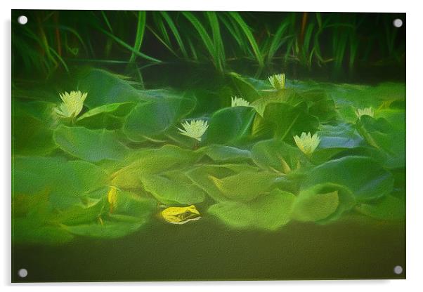 Among The Water Lilies Acrylic by Tom York