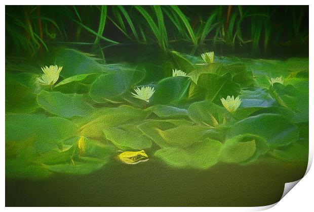 Among The Water Lilies Print by Tom York
