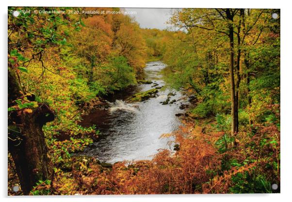 Autumnal River Wharfe Bolton Abbey Acrylic by Diana Mower
