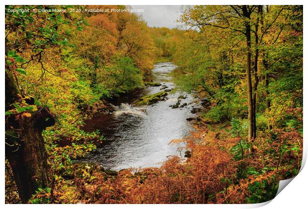 Autumnal River Wharfe Bolton Abbey Print by Diana Mower