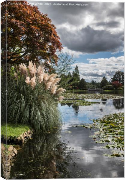 late summer colour by the water Canvas Print by Kevin White