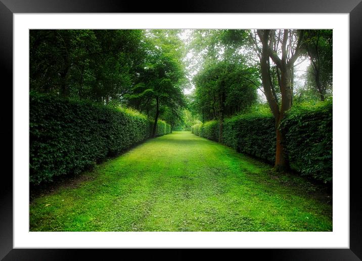 The Enchanting Garden Path Framed Mounted Print by Simon Marlow