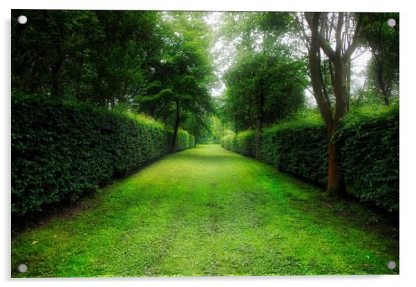 The Enchanting Garden Path Acrylic by Simon Marlow