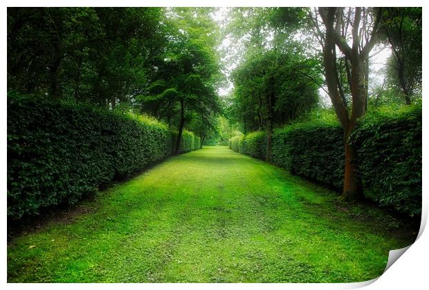 The Enchanting Garden Path Print by Simon Marlow
