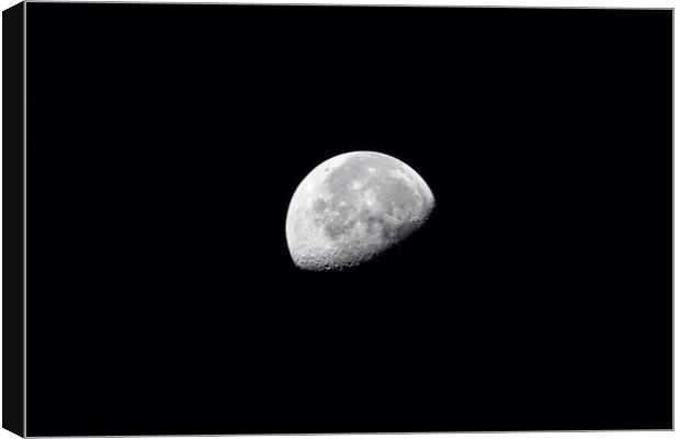 Half moon in the night Canvas Print by David GABIS