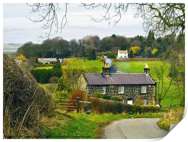 Farm Cottages on Bedlam Lane Print by Steven Watson