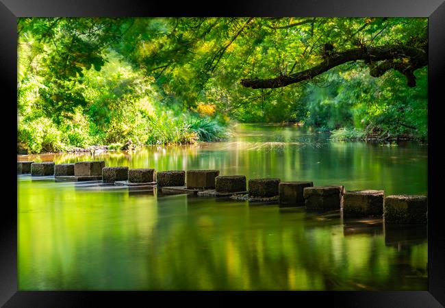 Stepping Stones Framed Print by Beata Aldridge