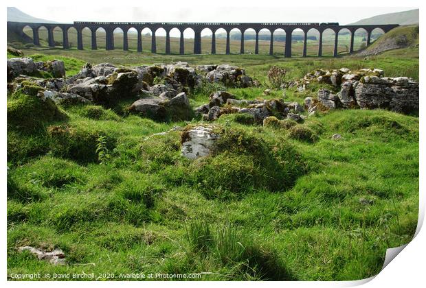 Ribblehead Viaduct in North Yorkshire. Print by David Birchall