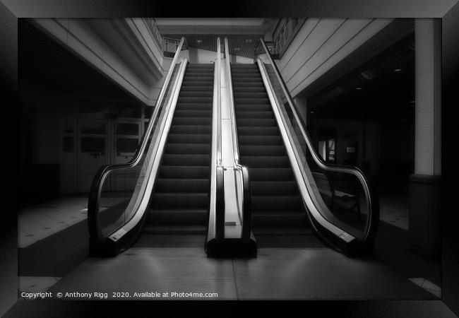 Empty Escalator  Framed Print by Anthony Rigg