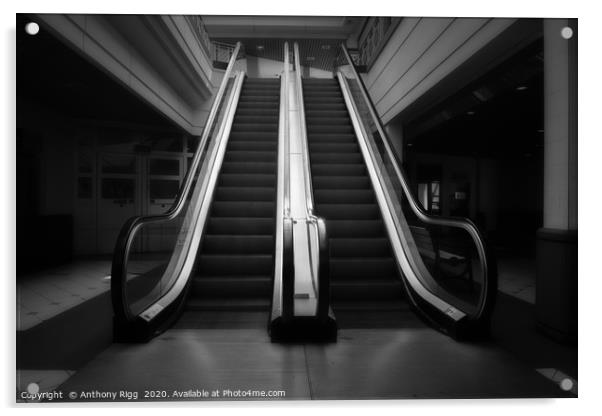 Empty Escalator  Acrylic by Anthony Rigg
