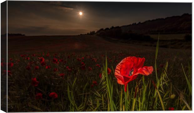 We Will Remember! Canvas Print by Tim Smith