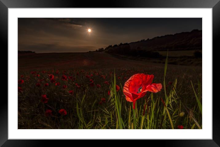 We Will Remember! Framed Mounted Print by Tim Smith
