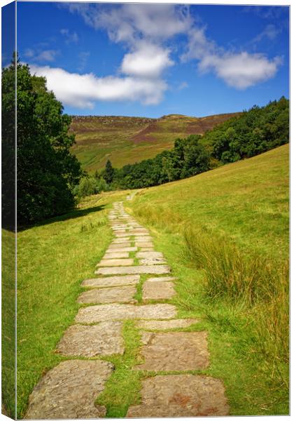   Path to Kinder Scout                             Canvas Print by Darren Galpin