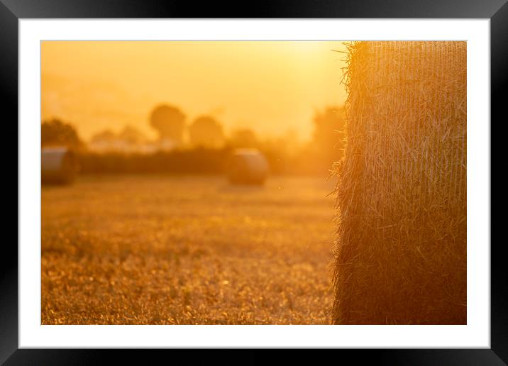 Straw bales in the light of sunset Framed Mounted Print by Arpad Radoczy