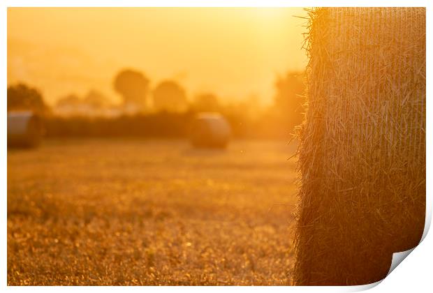 Straw bales in the light of sunset Print by Arpad Radoczy