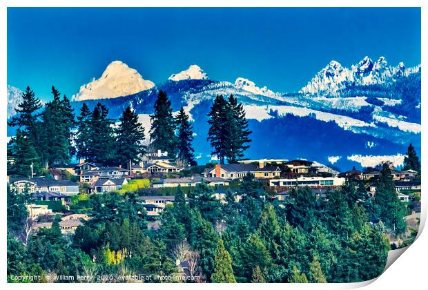 Houses Snow Capped Mountains Bellevue Washington Print by William Perry