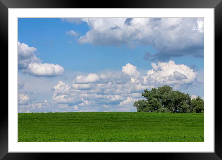 Green field with white clouds Framed Mounted Print by Arpad Radoczy
