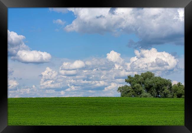 Green field with white clouds Framed Print by Arpad Radoczy