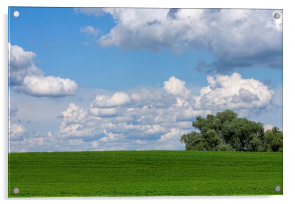 Green field with white clouds Acrylic by Arpad Radoczy
