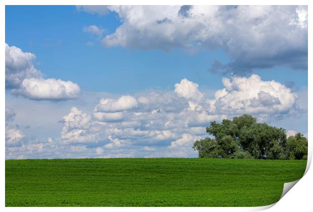 Green field with white clouds Print by Arpad Radoczy