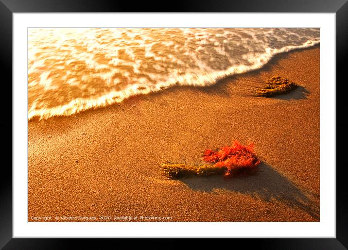 Wave on seaweeds Framed Mounted Print by Vicente Sargues