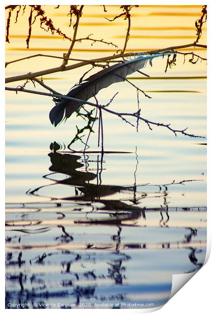 The lost feather Print by Vicente Sargues