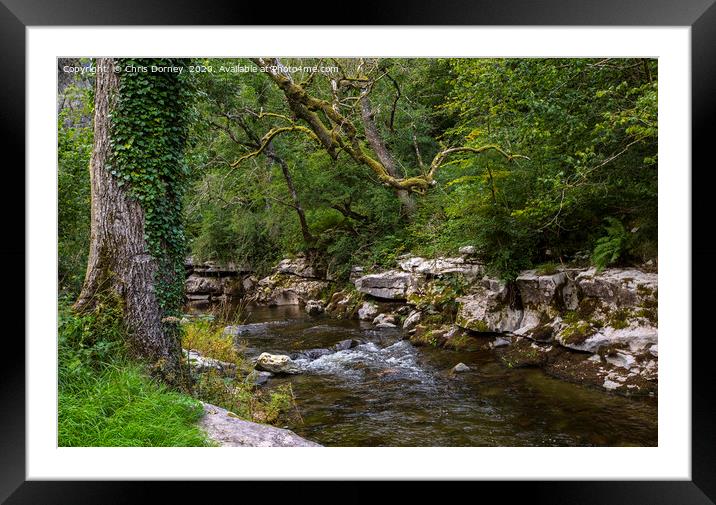 Taf Fechan River in South Wales, UK Framed Mounted Print by Chris Dorney