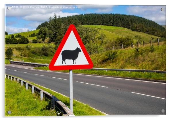 Road Sign Warning of Sheep in Wales Acrylic by Chris Dorney