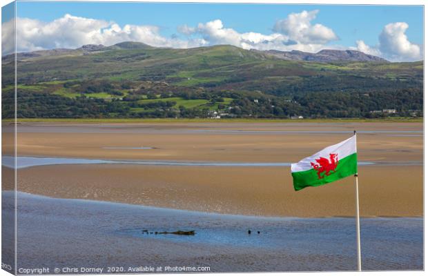 View of the Dwyryd Estuary from Portmeirion in Nor Canvas Print by Chris Dorney