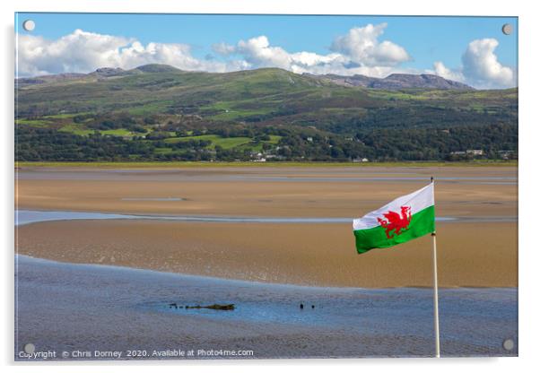 View of the Dwyryd Estuary from Portmeirion in Nor Acrylic by Chris Dorney