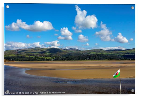 View of the Dwyryd Estuary from Portmeirion in Nor Acrylic by Chris Dorney