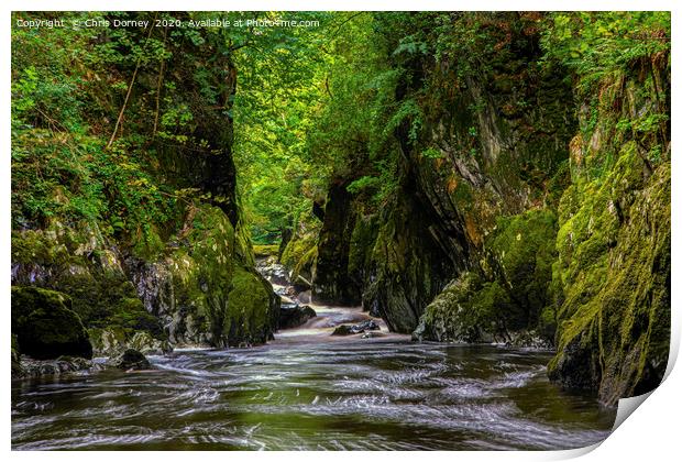 The Fairy Glen in Betws-Y-Coed, Wales Print by Chris Dorney