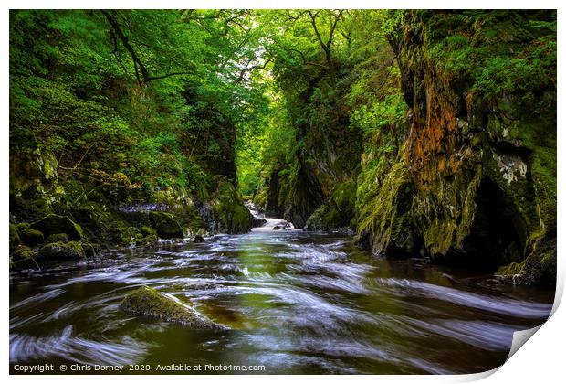 The Fairy Glen in Betws-y-Coed, Wales Print by Chris Dorney