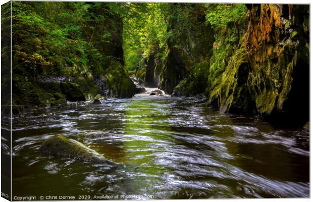 The Fairy Glen in Betws-y-Coed, Wales Canvas Print by Chris Dorney