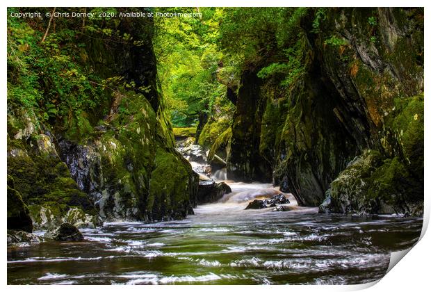 The Fairy Glen in Betws-y-Coed, Wales Print by Chris Dorney