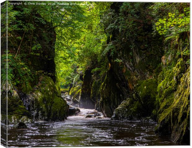 The Fairy Glen in Betws-Y-Coed, Wales Canvas Print by Chris Dorney