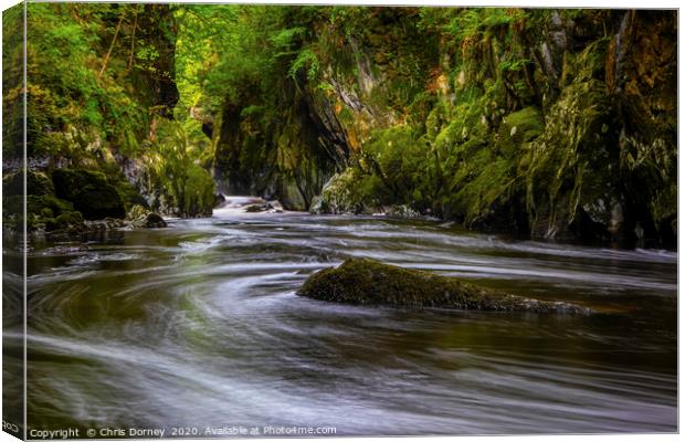 The Fairy Glen in Betws-Y-Coed, Wales Canvas Print by Chris Dorney