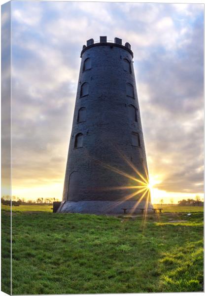 Black Mill, Beverley Westwood, Beverley East Yorks Canvas Print by Roger Driscoll