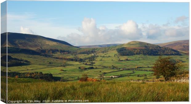 Forest of Bowland Lancashire UK 2012 Canvas Print by Tim Riley