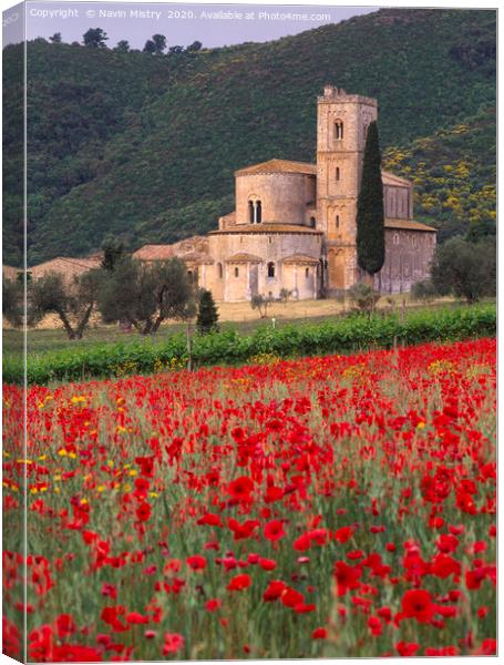 A field with with poppies at Sant Antimo Abbey Tus Canvas Print by Navin Mistry