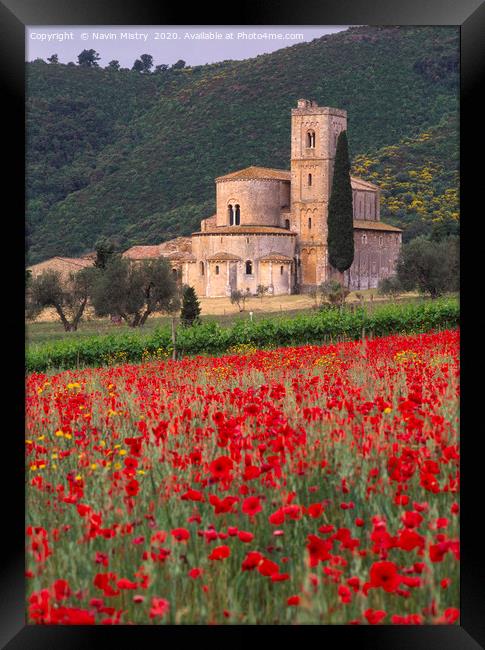 A field with with poppies at Sant Antimo Abbey Tus Framed Print by Navin Mistry
