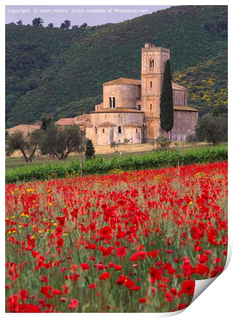 A field with with poppies at Sant Antimo Abbey Tus Print by Navin Mistry