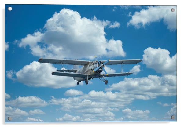 Double-winged airplane flies on a Air Show Acrylic by Arpad Radoczy