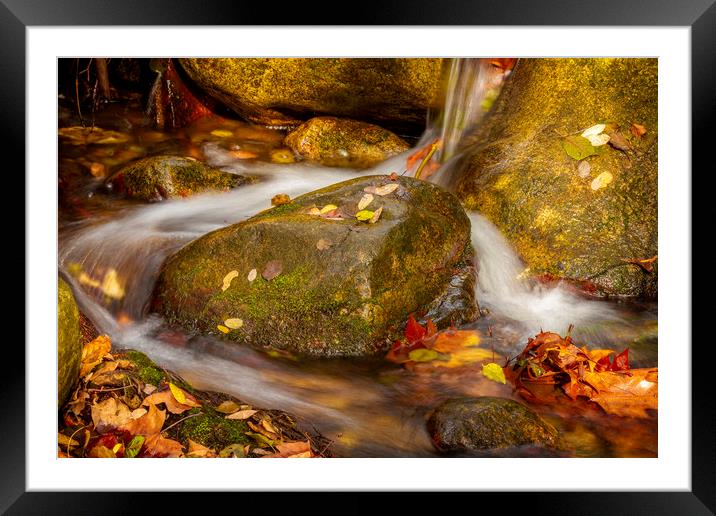 Small stream detail, colored stones Framed Mounted Print by Arpad Radoczy