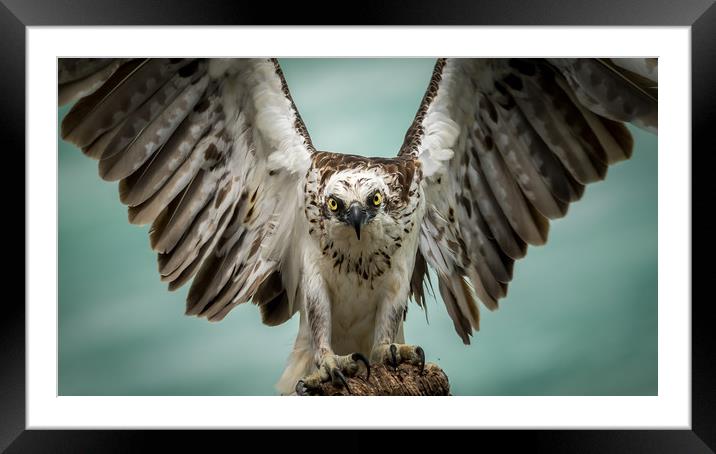 The Eagle has Landed Framed Mounted Print by Pete Evans