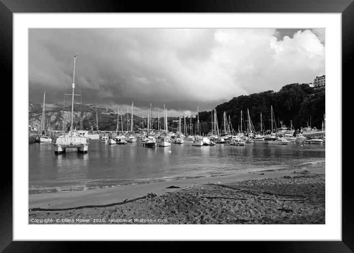 Ilfracombe harbour    Framed Mounted Print by Diana Mower