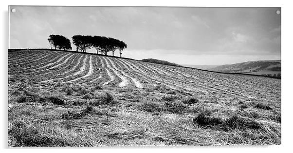 New Mown Hay Acrylic by Wayne Molyneux