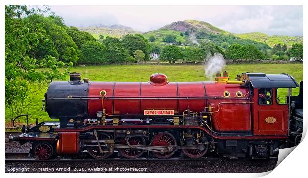 Ravenglass & Eskdale Steam Railway Print by Martyn Arnold