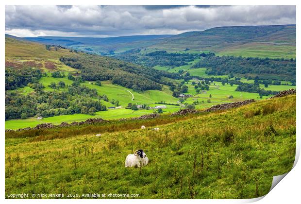Looking towards Upper Wharfedale from Buckden Pike Print by Nick Jenkins