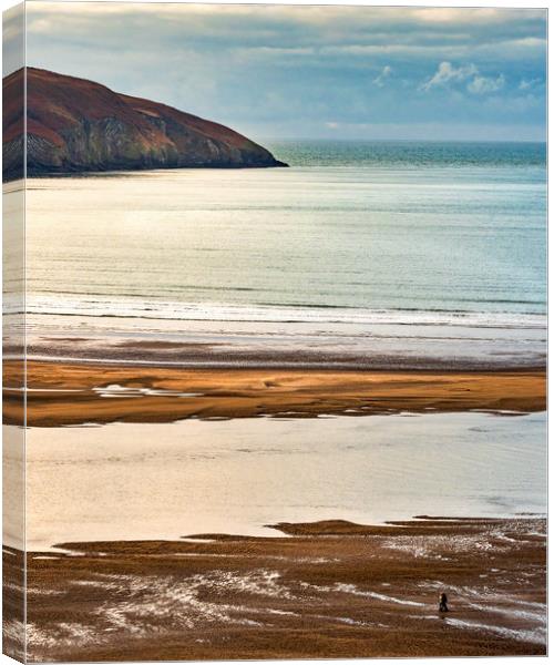 Cardigan Estuary, Pembrokeshire, Wales, UK Canvas Print by Mark Llewellyn